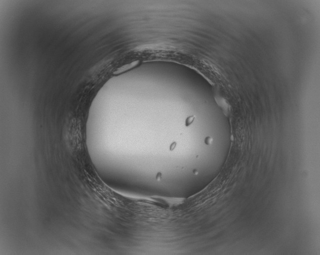 X0000076061062200610061530