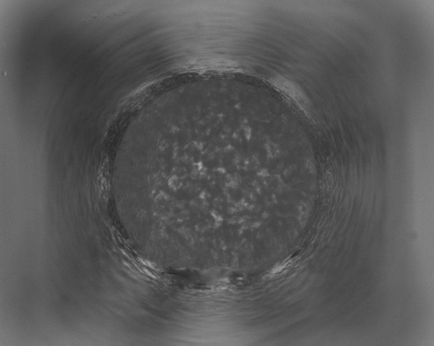 X0000076061063200610061530