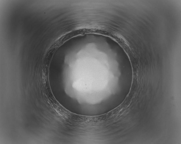 X0000076061064200610061530