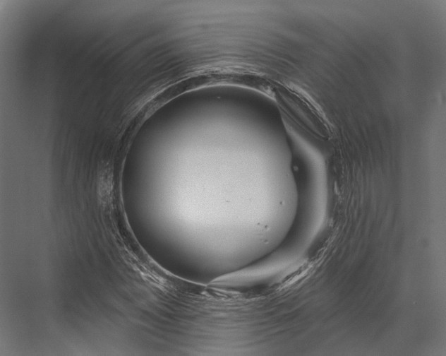 X0000076061065200610061530