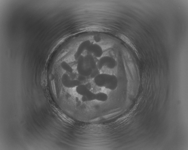 X0000076061067200610061530