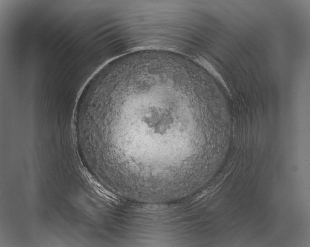 X0000076061068200610061530