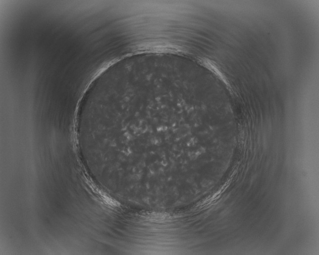 X0000076061071200610061530