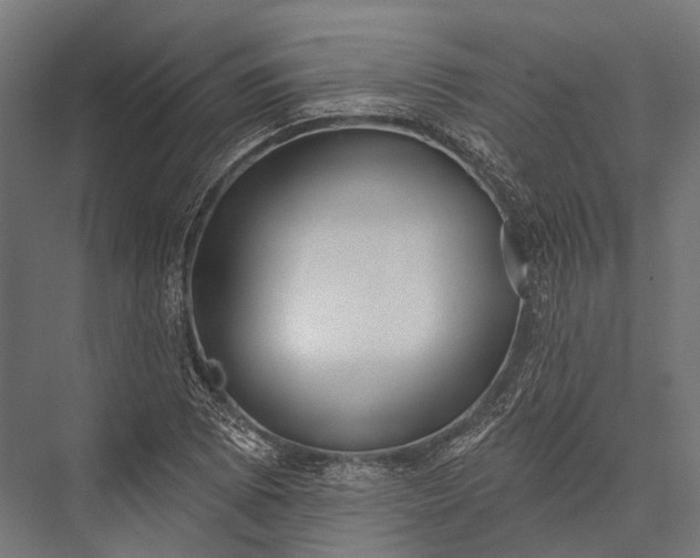 X0000076061073200610061530