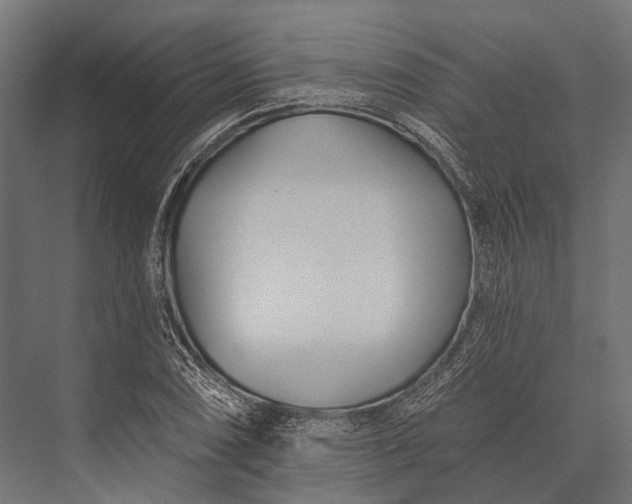 X0000076061074200610061530