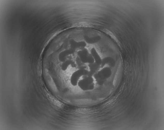 X0000076061075200610061530