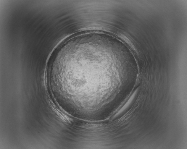 X0000076061076200610061530