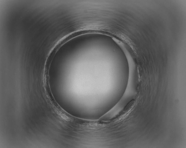 X0000076061077200610061530