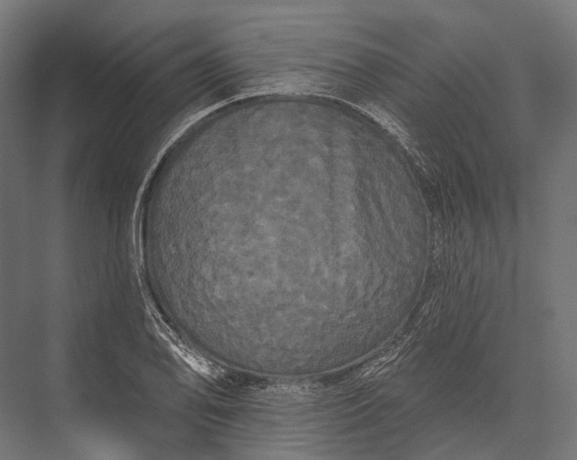 X0000076061078200610061530