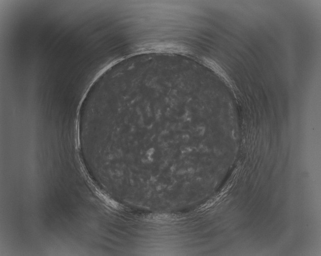 X0000076061079200610061530