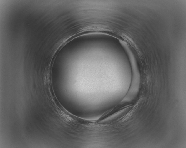 X0000076061081200610061530