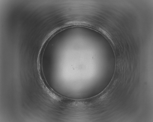 X0000076061082200610061530