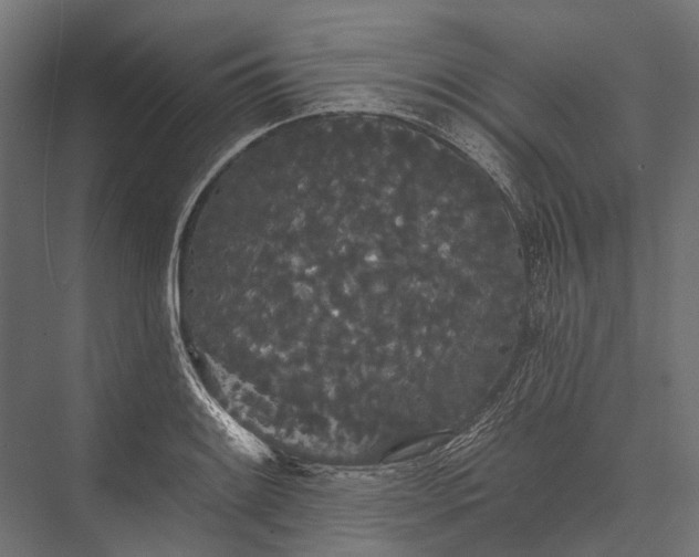 X0000076061084200610061530