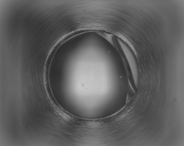 X0000076061085200610061530