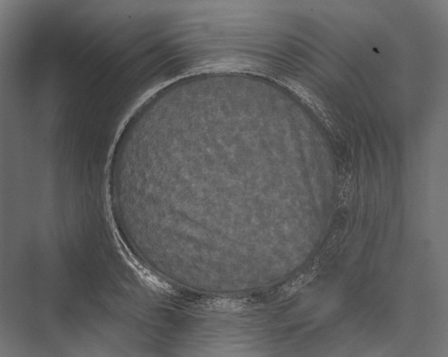 X0000076061086200610061530