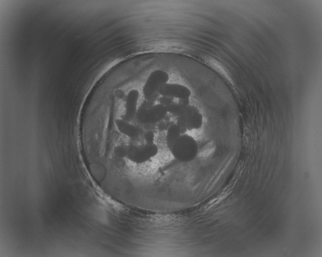 X0000076061087200610061530