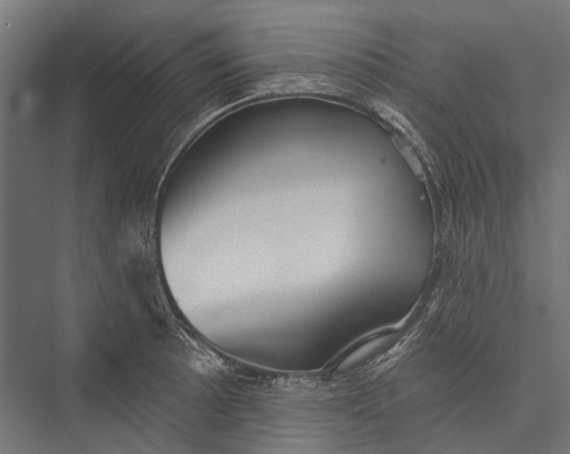 X0000076061089200610061530