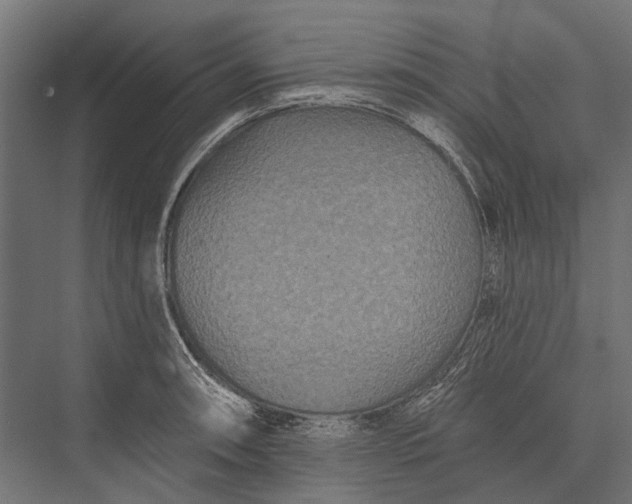 X0000076061090200610061530