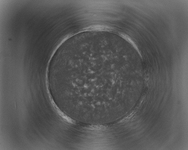 X0000076061091200610061530