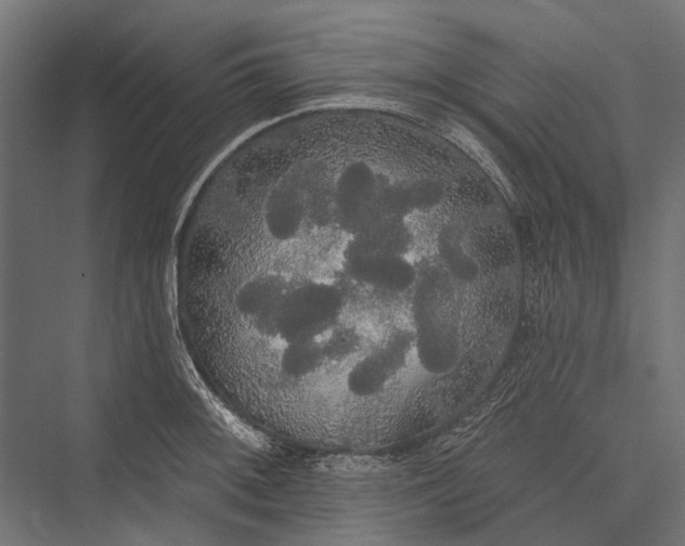 X0000076061092200610061530