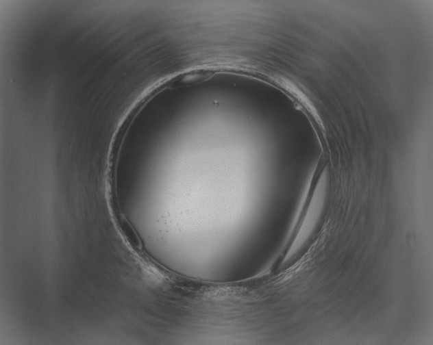 X0000076061093200610061530