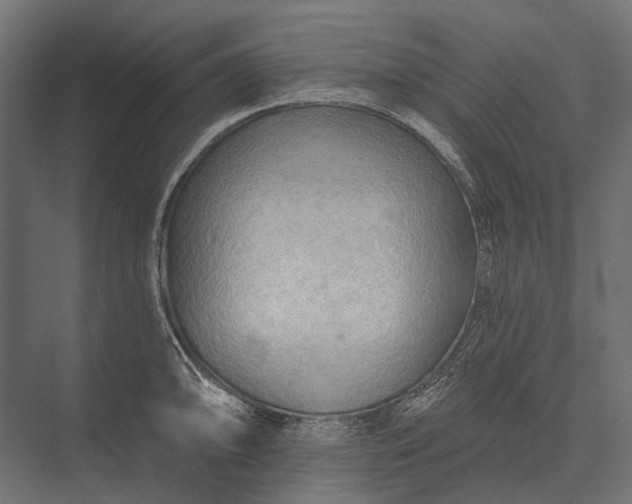 X0000076061094200610061530