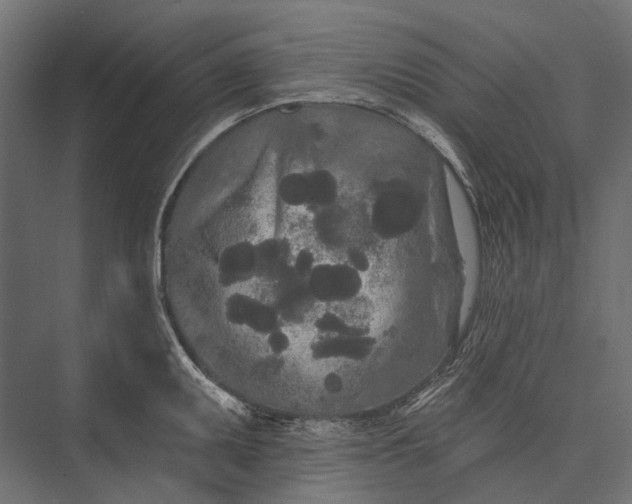 X0000076061095200610061530