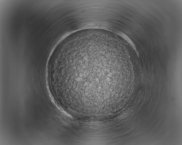 X0000076061096200610061530