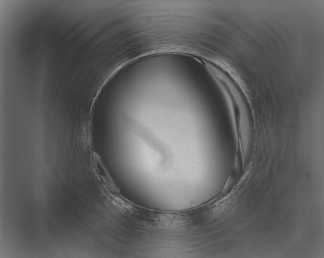 X0000076061097200610061530