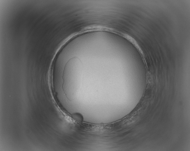 X0000076061098200610061530