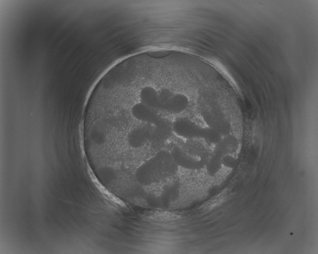 X0000076061100200610061530