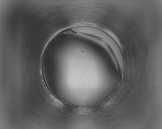 X0000076061102200610061530