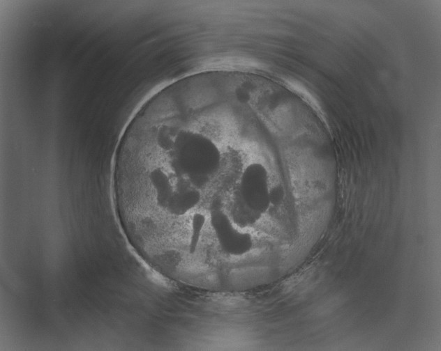 X0000076061103200610061529