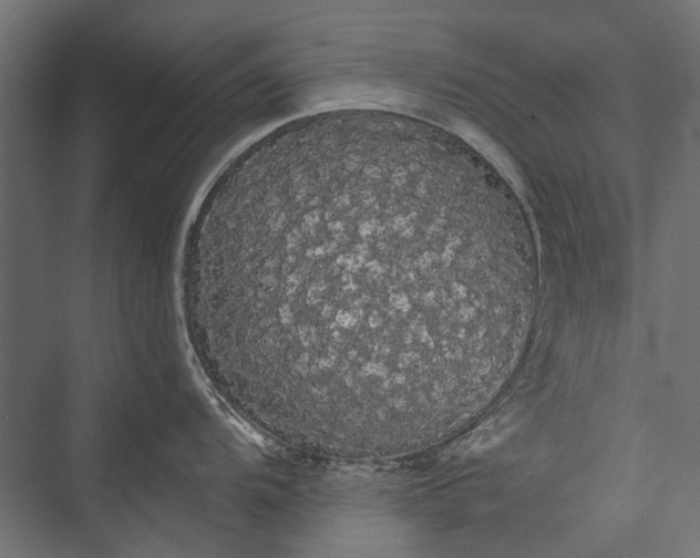 X0000076061104200610061529