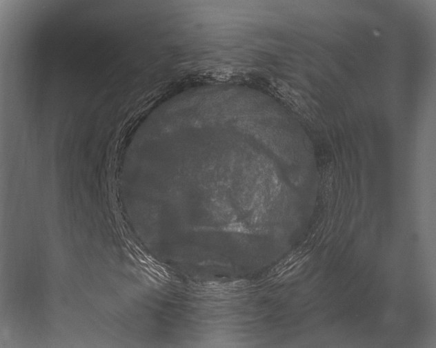 X0000076061105200610061529