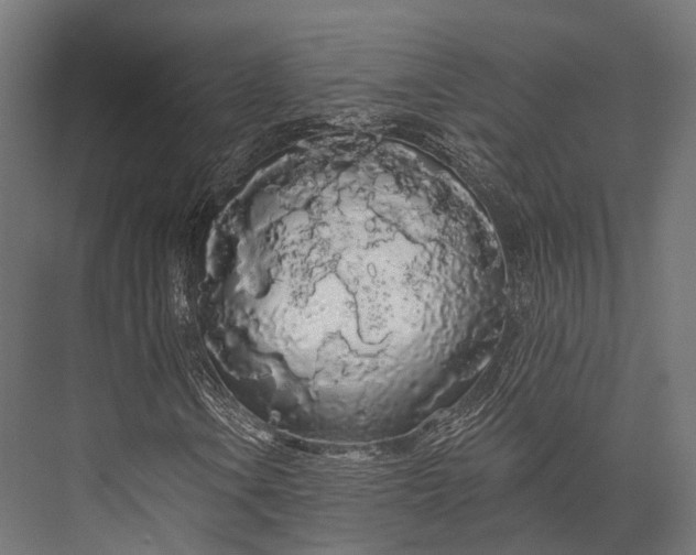 X0000076061106200610061529