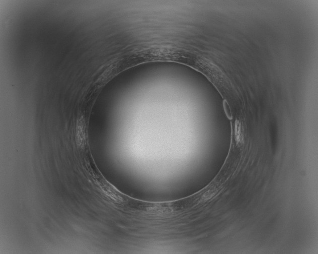 X0000076061107200610061529