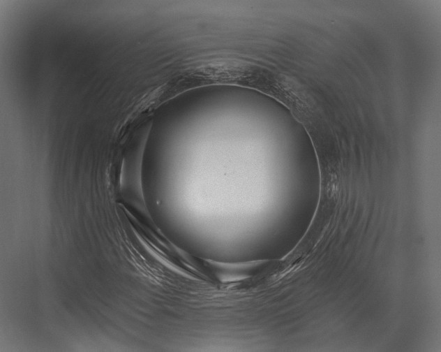 X0000076061108200610061529