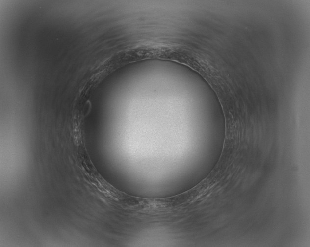 X0000076061109200610061529