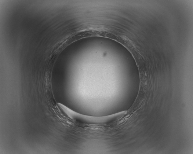 X0000076061110200610061529