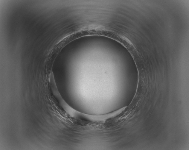 X0000076061112200610061529