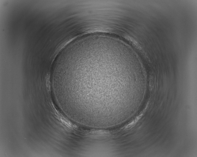 X0000076061113200610061529