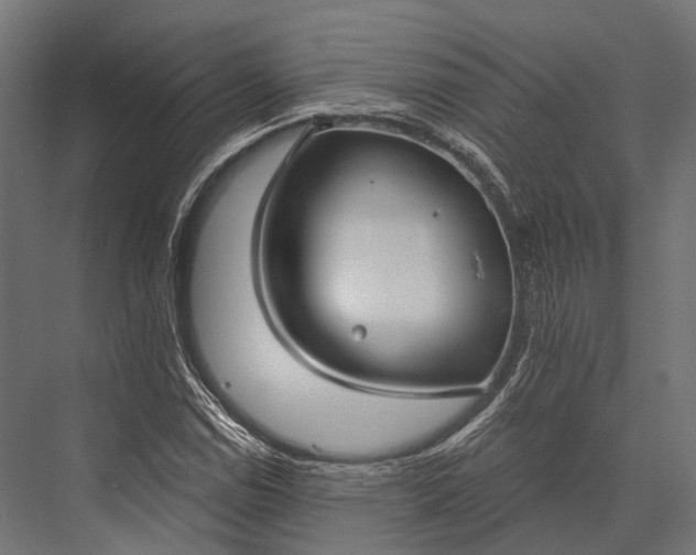 X0000076061114200610061529