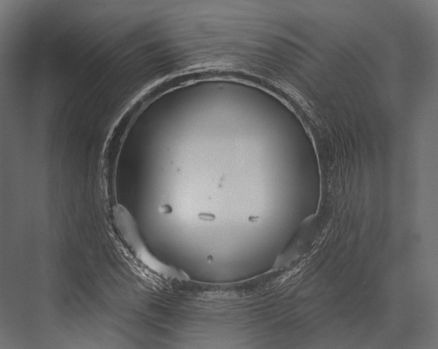 X0000076061118200610061529