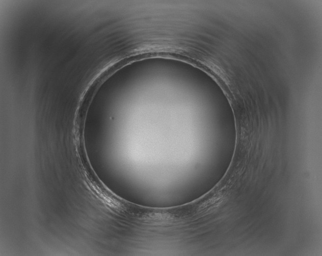 X0000076061119200610061529