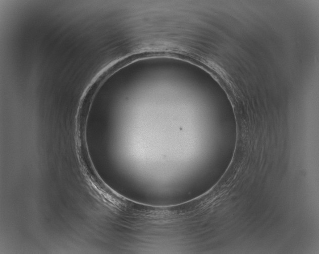 X0000076061120200610061529