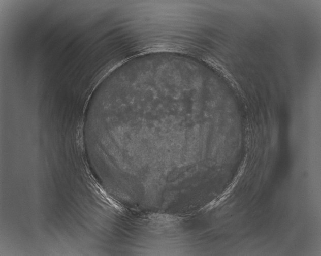 X0000076061121200610061529