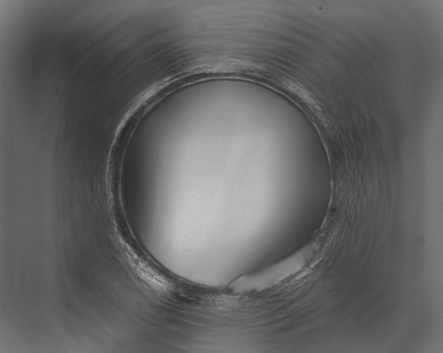 X0000076061122200610061529