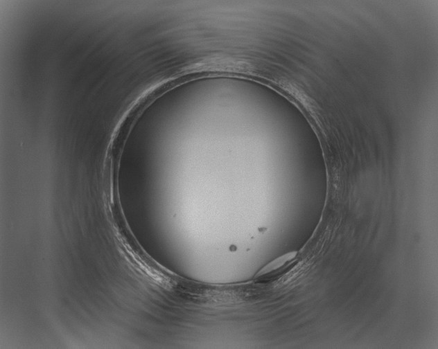 X0000076061123200610061529