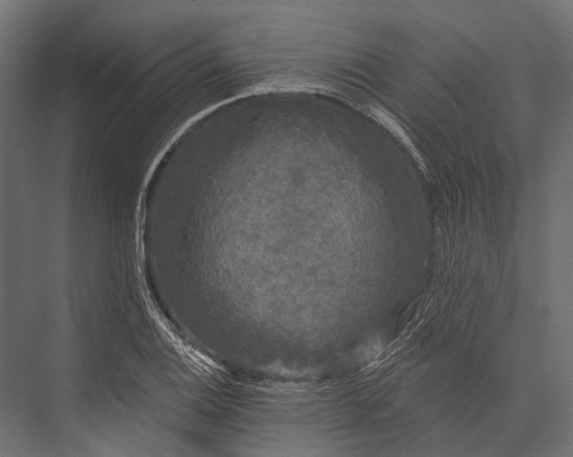 X0000076061124200610061529